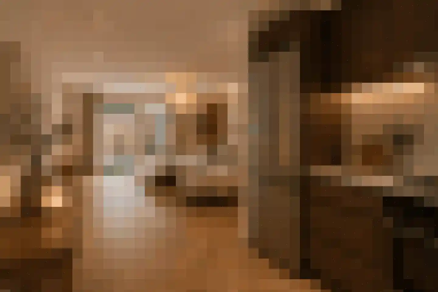 Regenwulp 14 Muiderberg thumbnail 18
