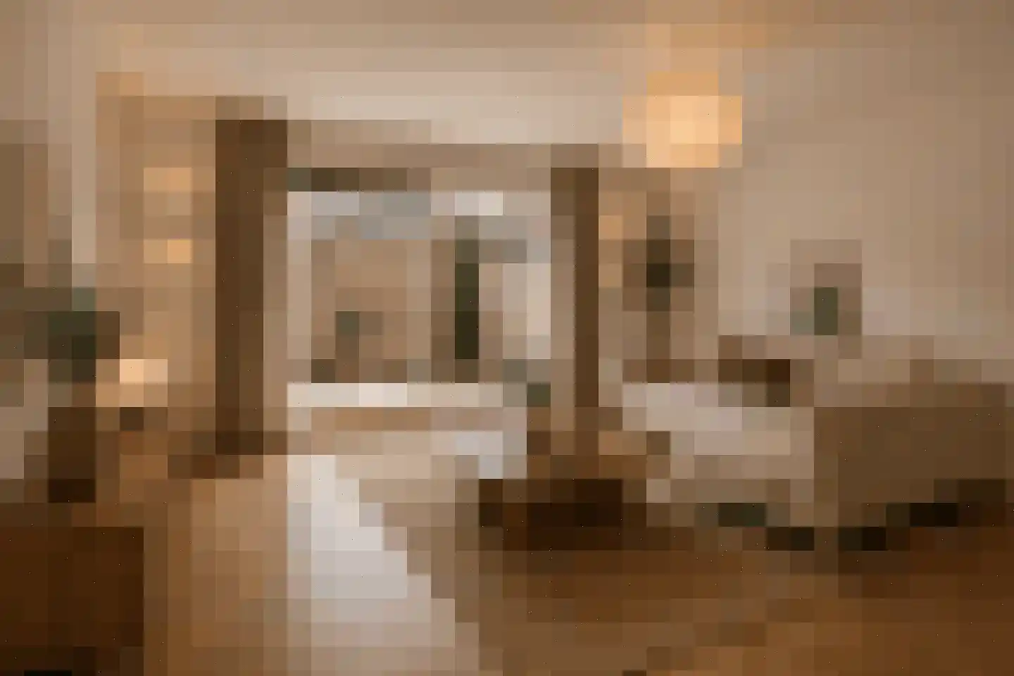Regenwulp 14 Muiderberg thumbnail 24