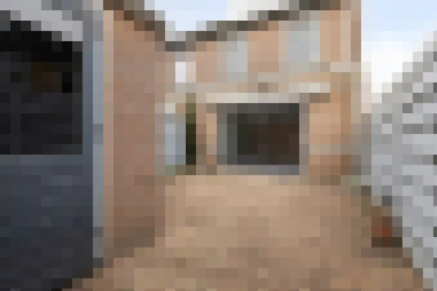 Regenwulp 14 Muiderberg thumbnail 25