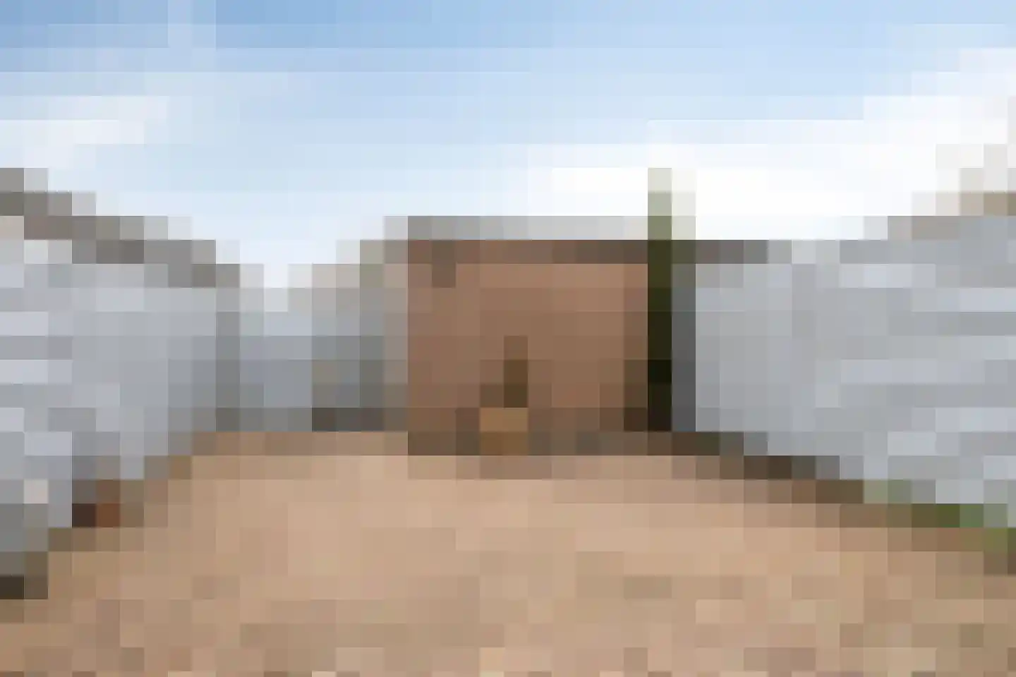 Regenwulp 14 Muiderberg thumbnail 29