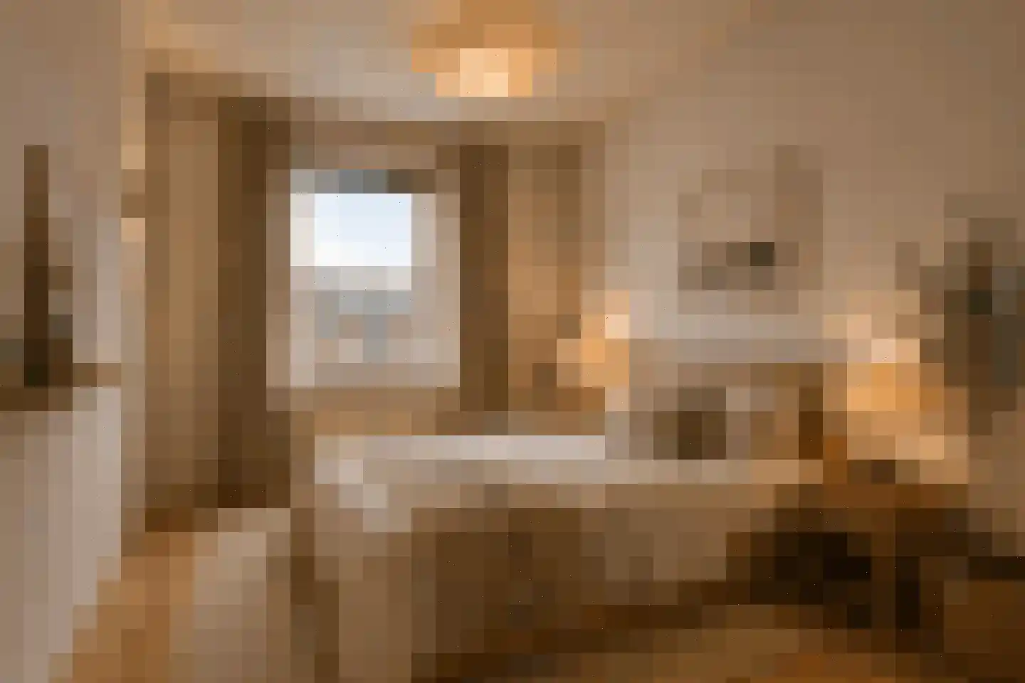 Regenwulp 14 Muiderberg thumbnail 34