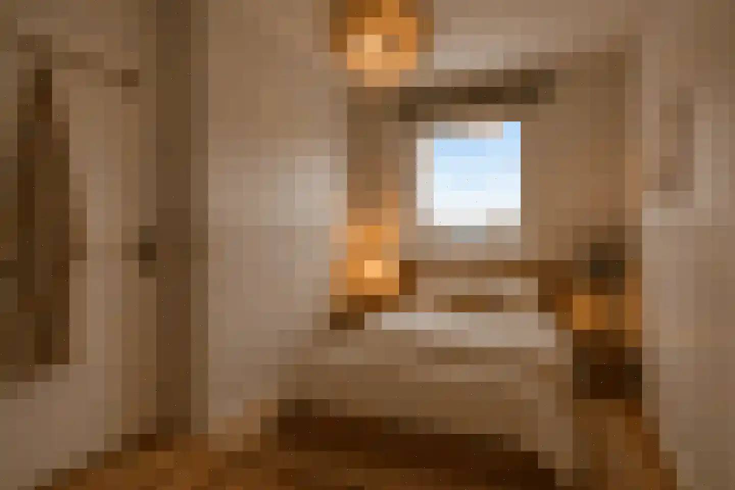 Regenwulp 14 Muiderberg thumbnail 37