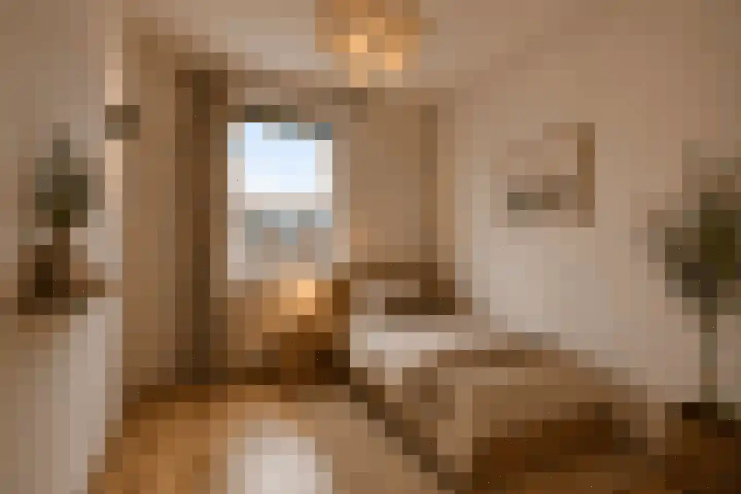 Regenwulp 14 Muiderberg thumbnail 40