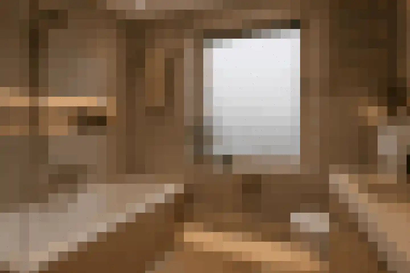 Regenwulp 14 Muiderberg thumbnail 44