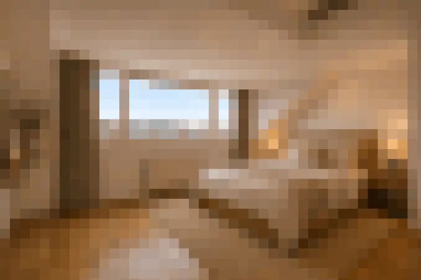 Regenwulp 14 Muiderberg thumbnail 48