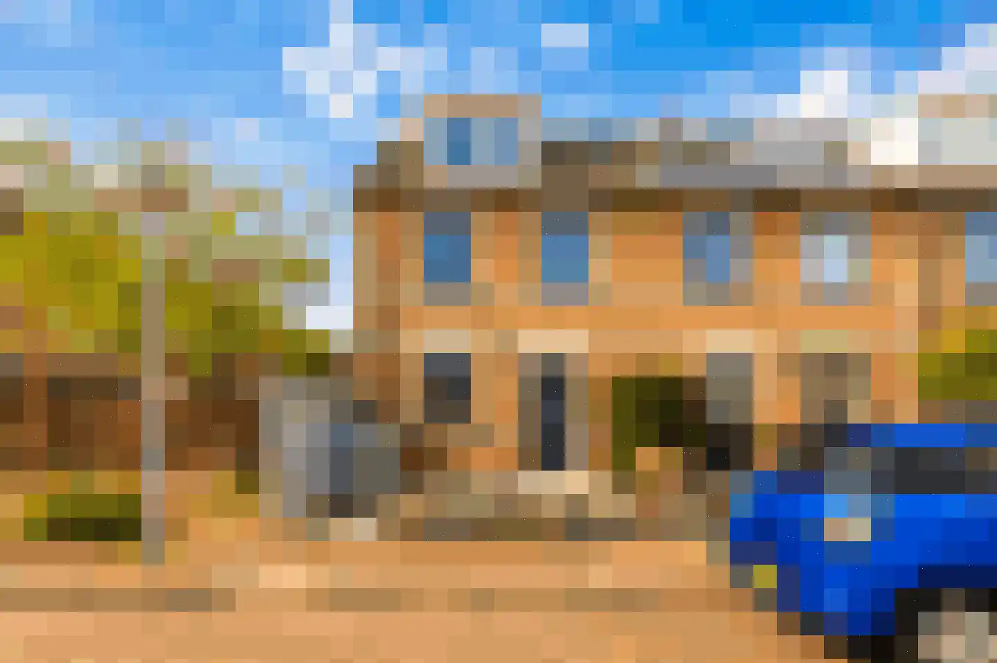 Regenwulp 14 Muiderberg thumbnail 5