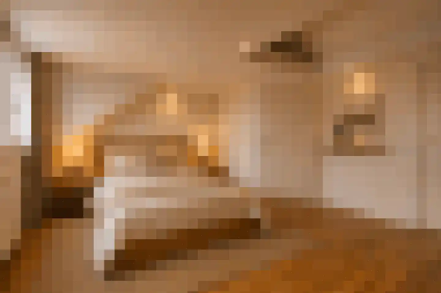 Regenwulp 14 Muiderberg thumbnail 50