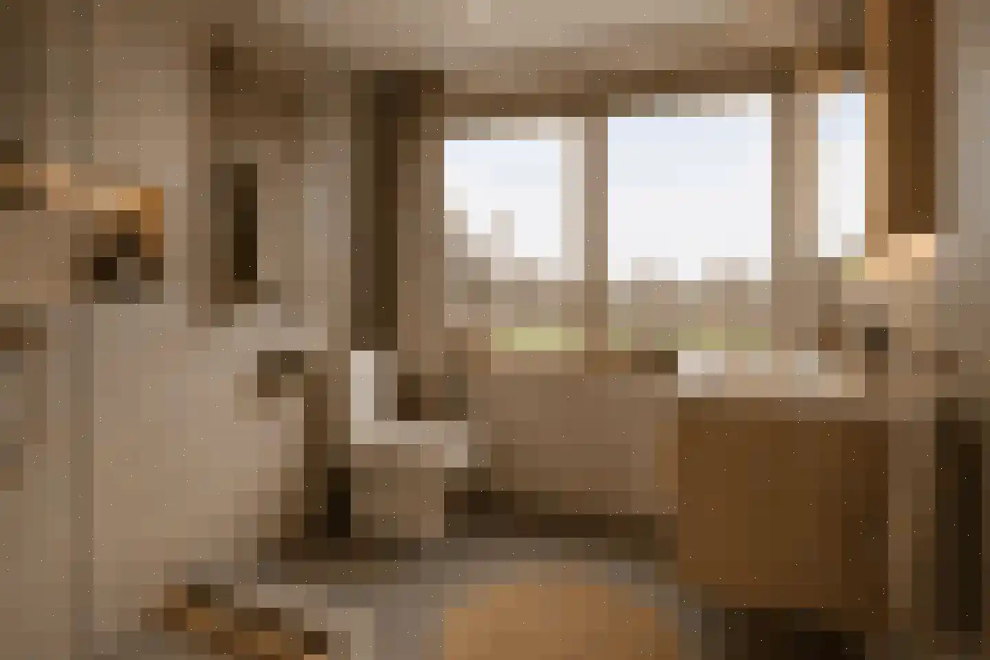 Regenwulp 14 Muiderberg thumbnail 56