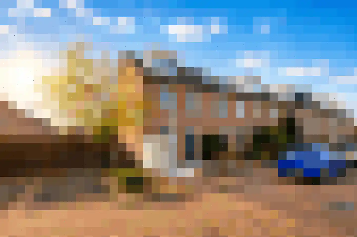 Regenwulp 14 Muiderberg thumbnail 58