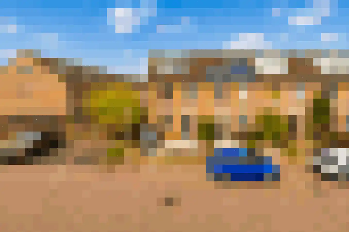 Regenwulp 14 Muiderberg thumbnail 59