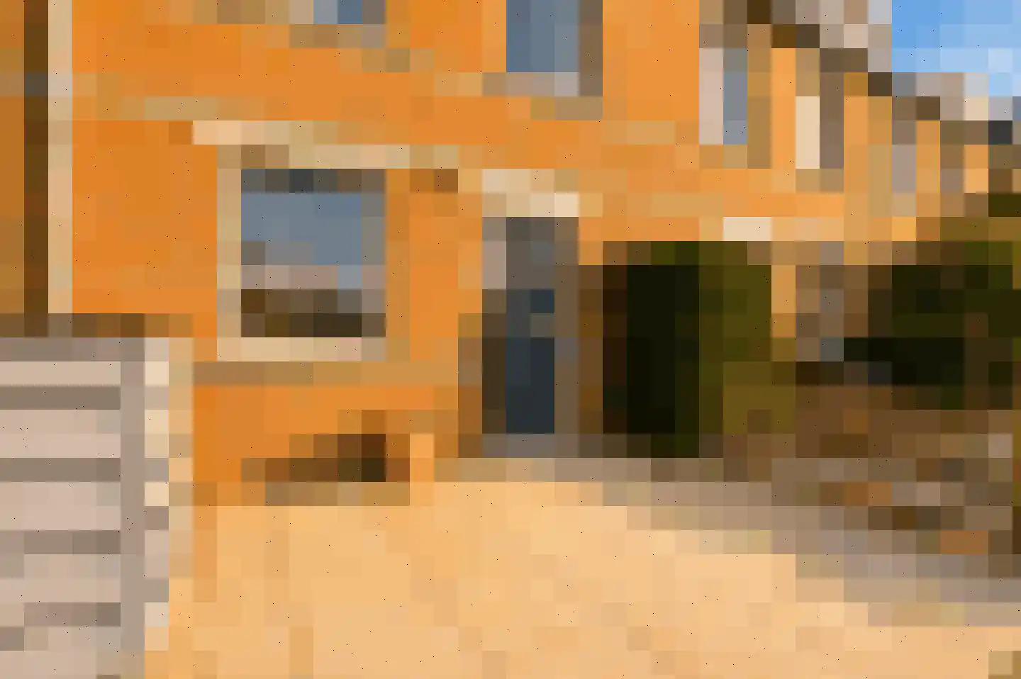 Regenwulp 14 Muiderberg thumbnail 6