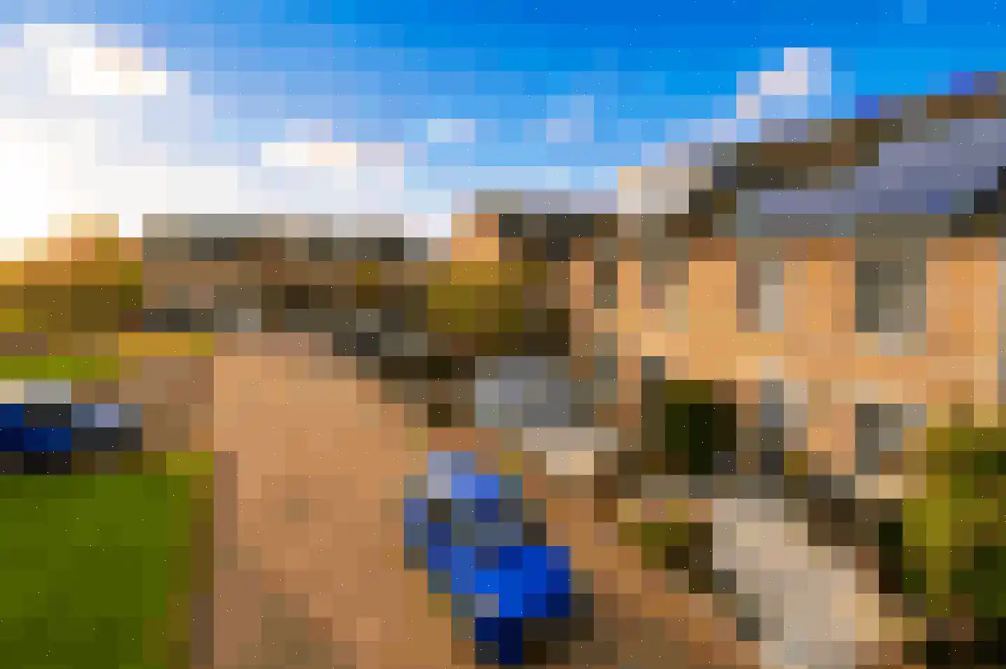 Regenwulp 14 Muiderberg thumbnail 60