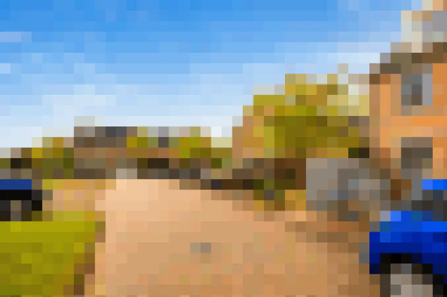 Regenwulp 14 Muiderberg thumbnail 61