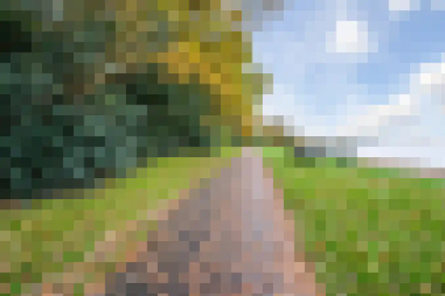 Regenwulp 14 Muiderberg thumbnail 62