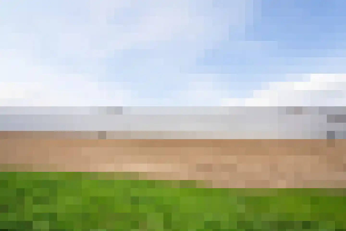 Regenwulp 14 Muiderberg thumbnail 63