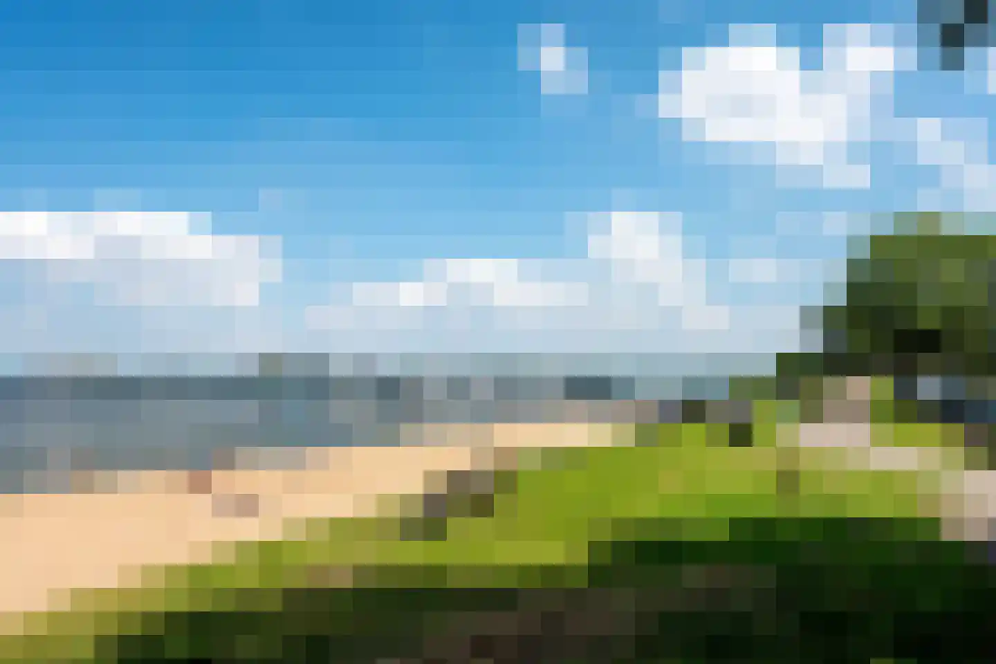 Regenwulp 14 Muiderberg thumbnail 68