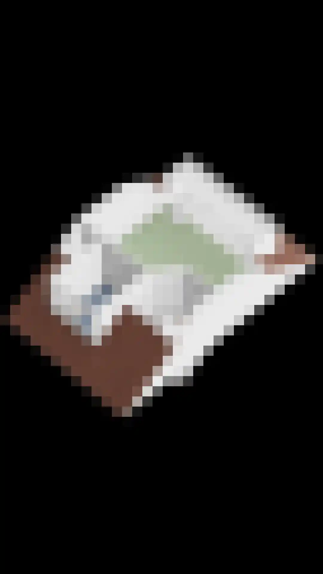 Regenwulp 14 Muiderberg thumbnail 78
