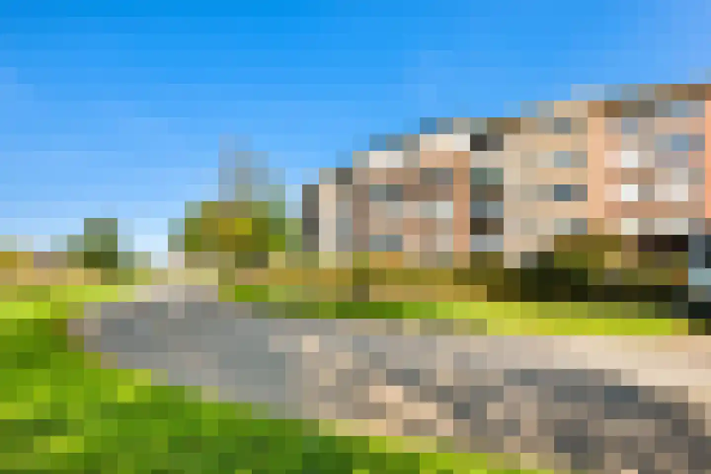 Regenwulp 27 Velserbroek thumbnail 10