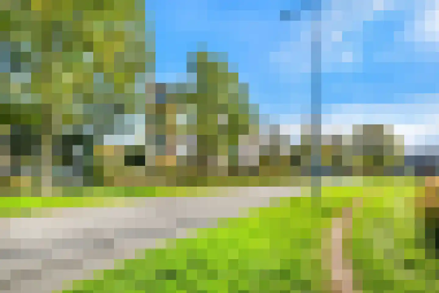 Regenwulp 27 Velserbroek thumbnail 11