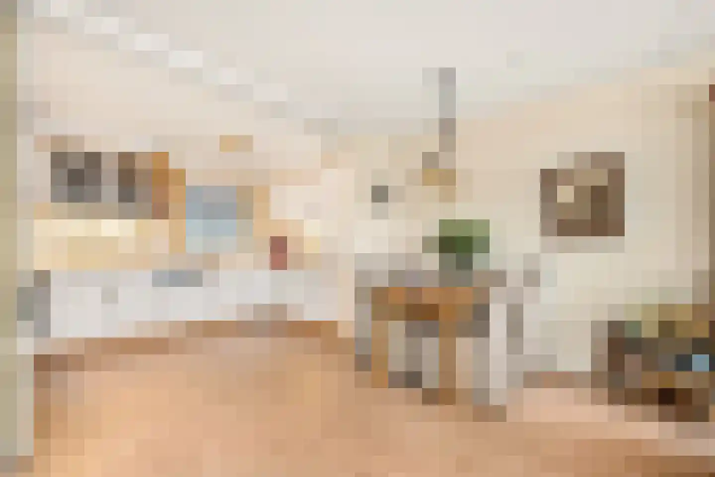 Regenwulp 27 Velserbroek thumbnail 21