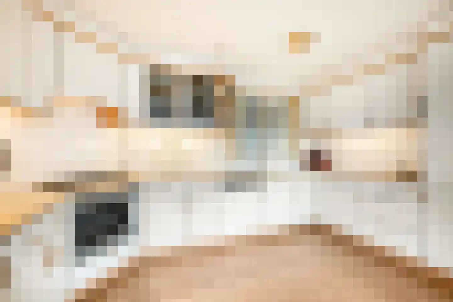 Regenwulp 27 Velserbroek thumbnail 27
