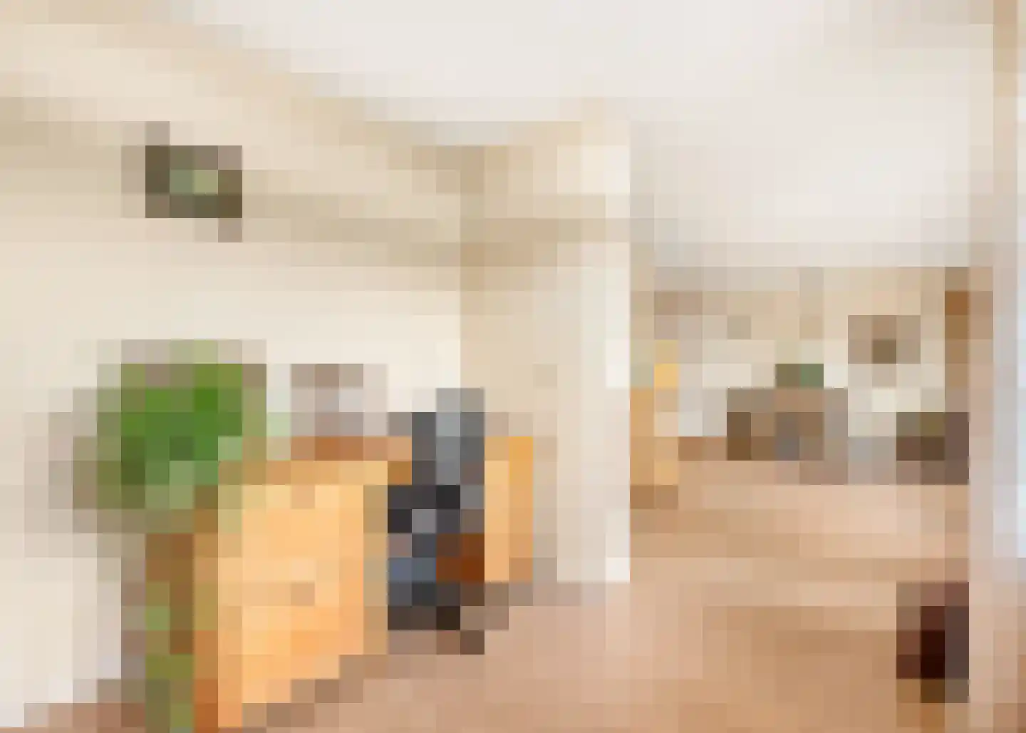 Regenwulp 27 Velserbroek thumbnail 35
