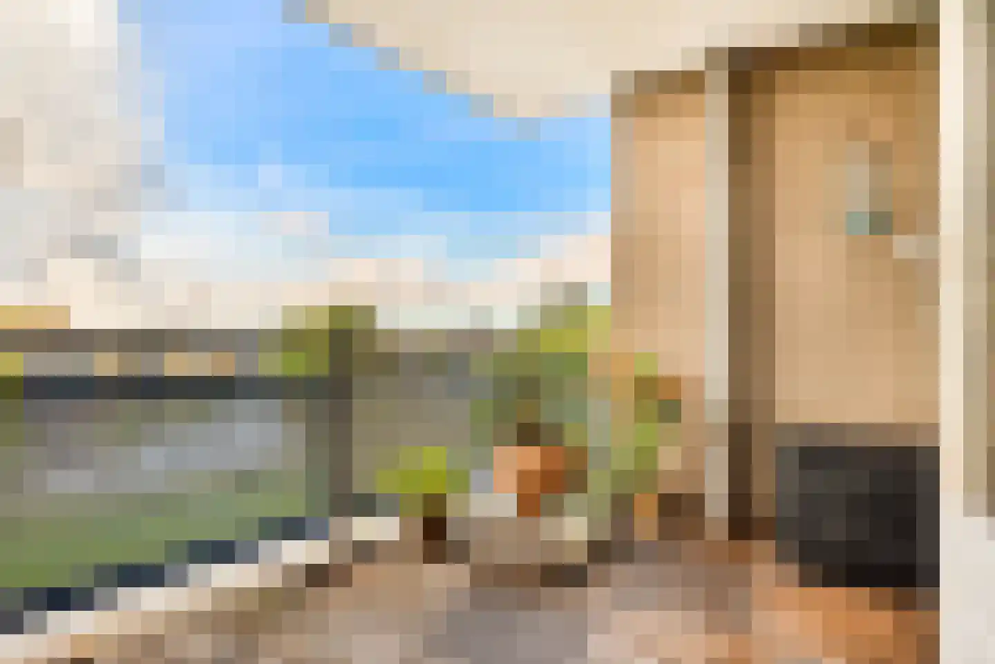 Regenwulp 27 Velserbroek thumbnail 36