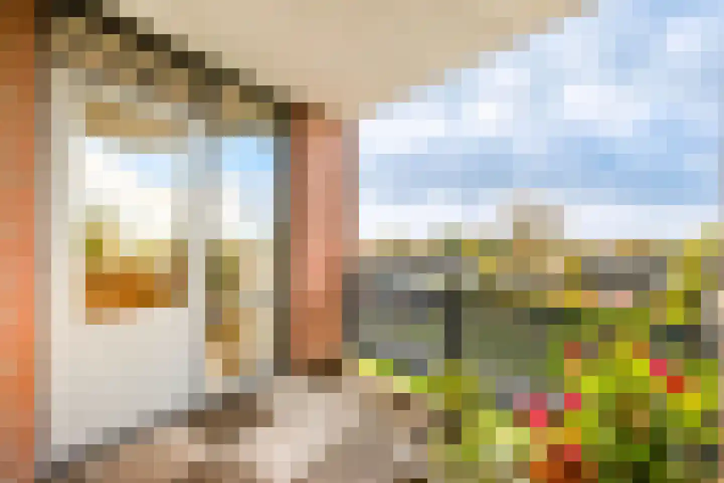 Regenwulp 27 Velserbroek thumbnail 38