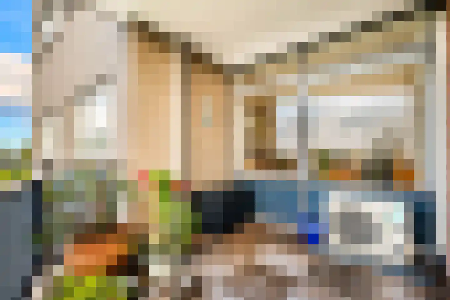 Regenwulp 27 Velserbroek thumbnail 39