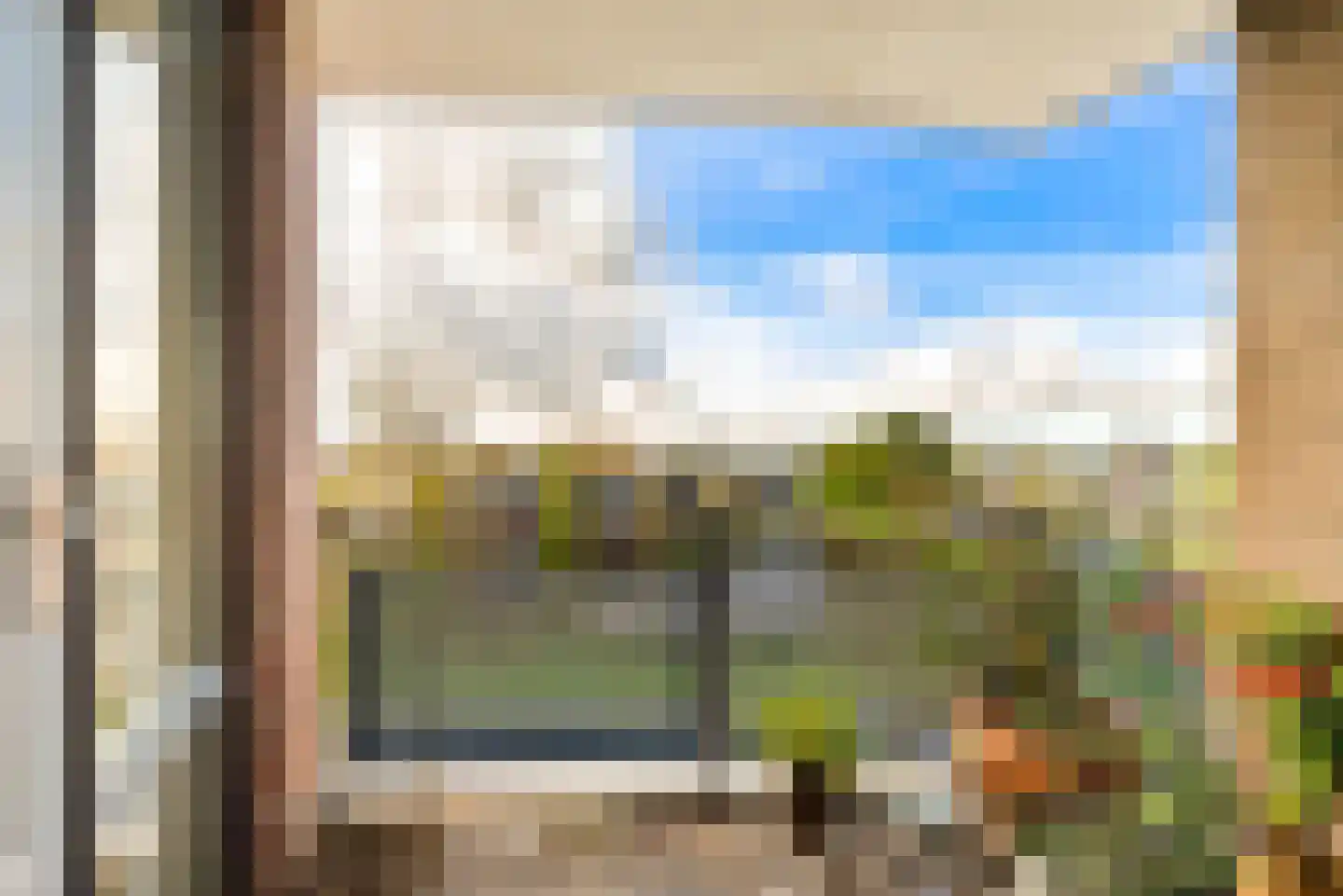 Regenwulp 27 Velserbroek thumbnail 4