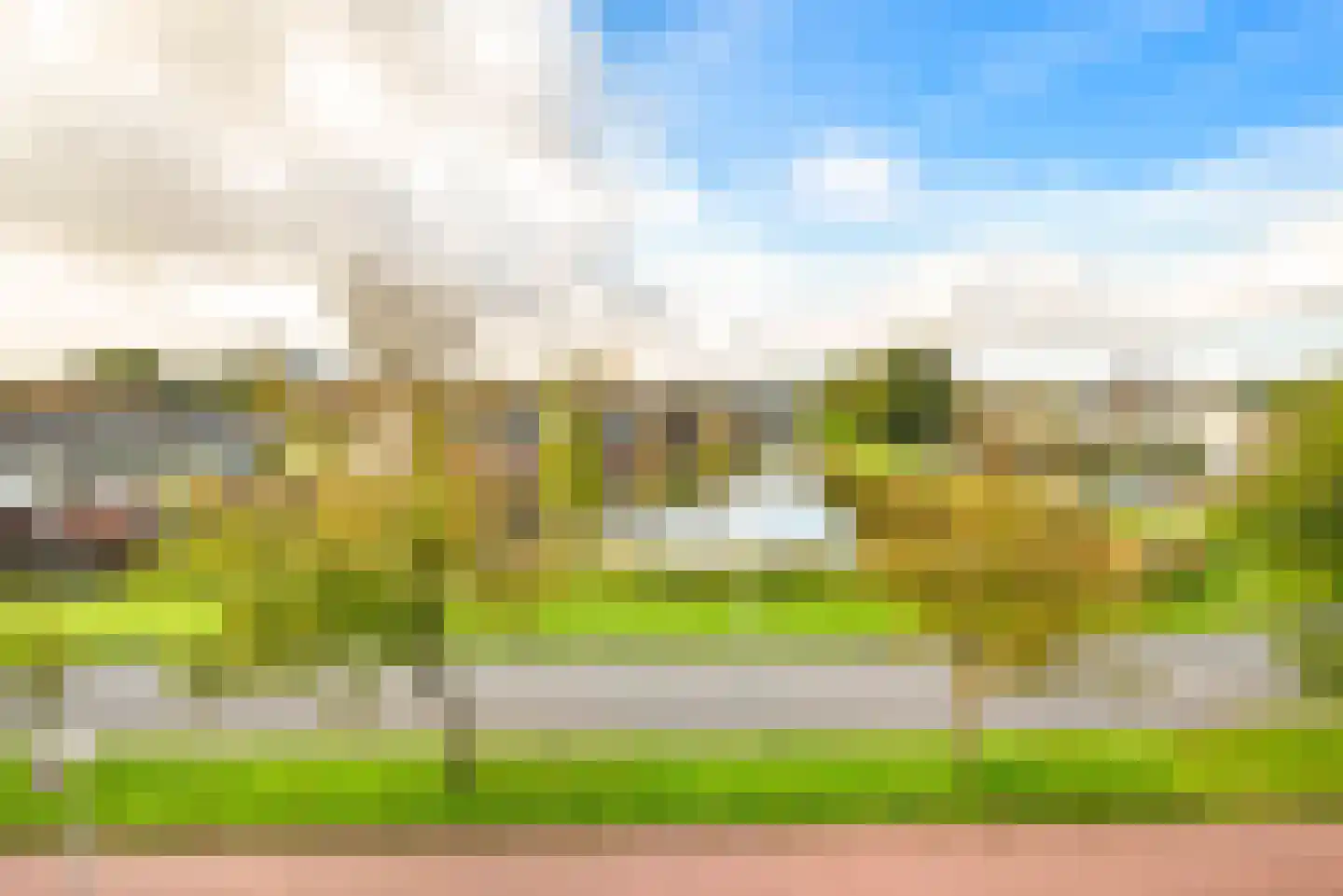 Regenwulp 27 Velserbroek thumbnail 41