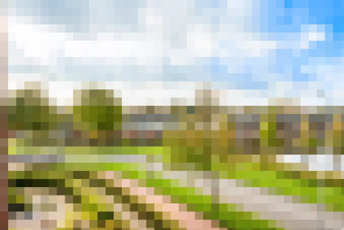 Regenwulp 27 Velserbroek thumbnail 42