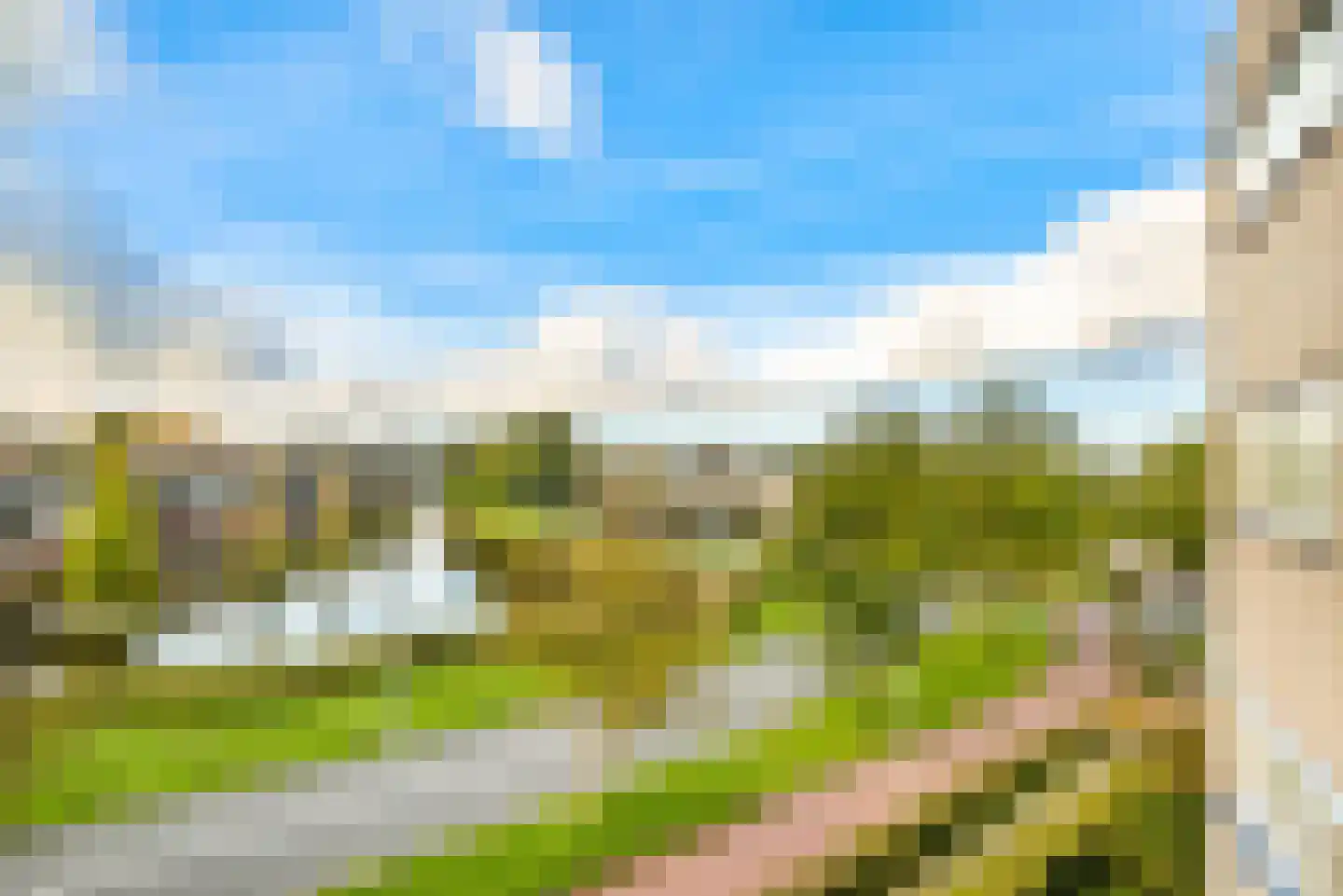Regenwulp 27 Velserbroek thumbnail 43