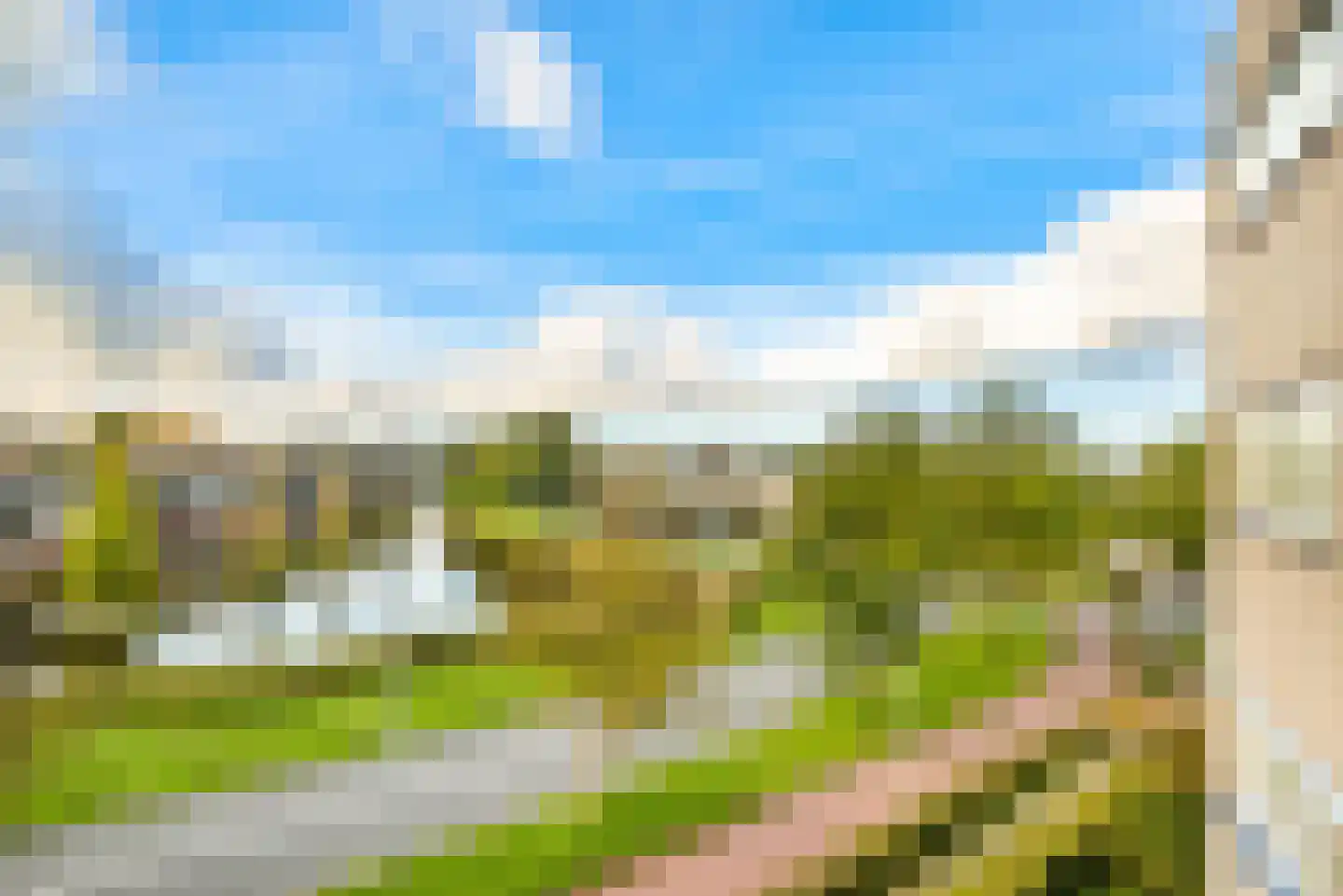 Regenwulp 27 Velserbroek thumbnail 5