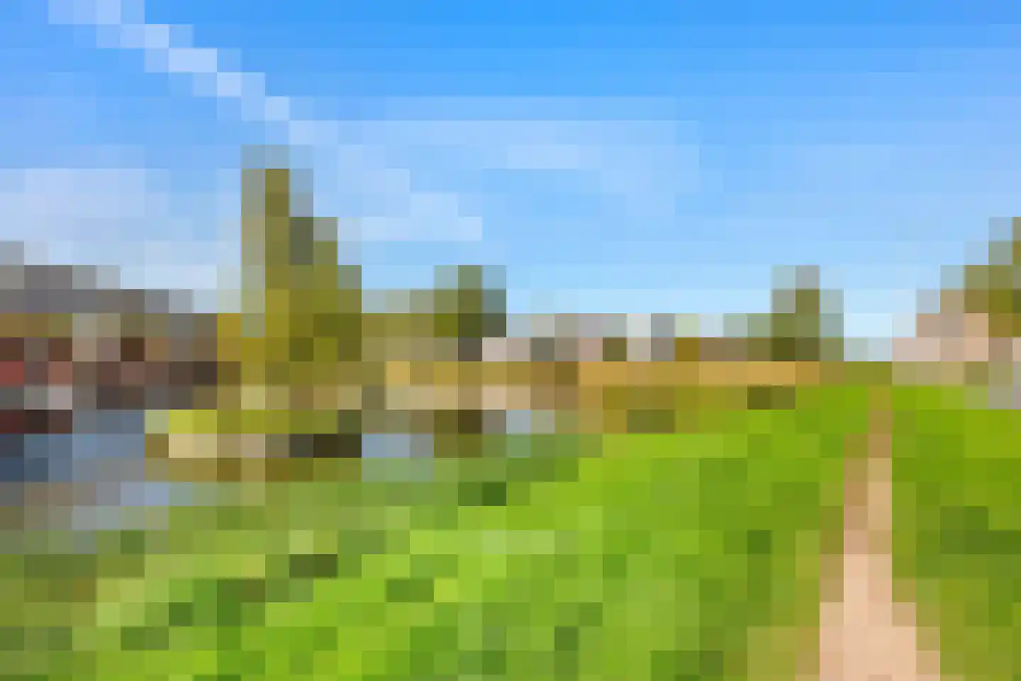 Regenwulp 27 Velserbroek thumbnail 6