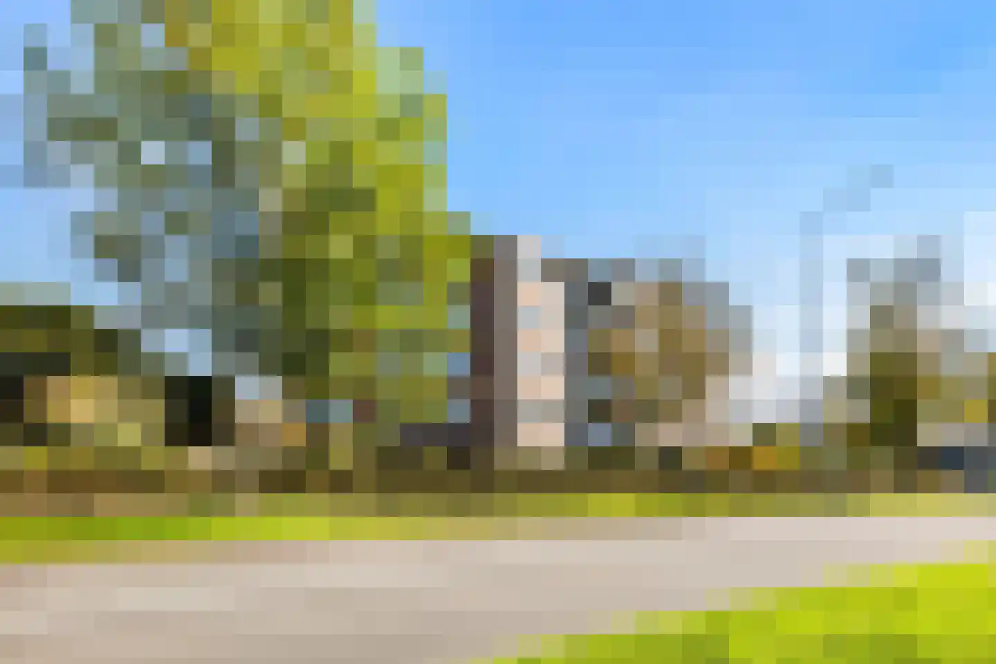 Regenwulp 27 Velserbroek thumbnail 9
