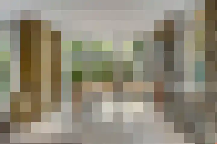 Regenwulp 58 Breda thumbnail 11