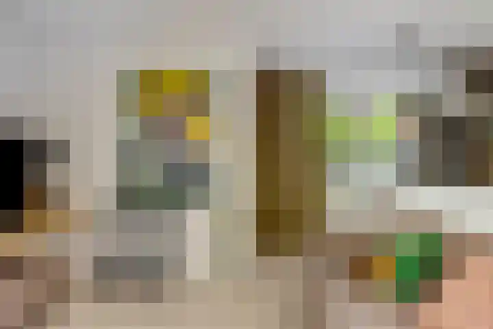 Regenwulp 58 Breda thumbnail 15