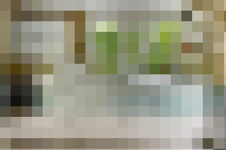 Regenwulp 58 Breda thumbnail 18