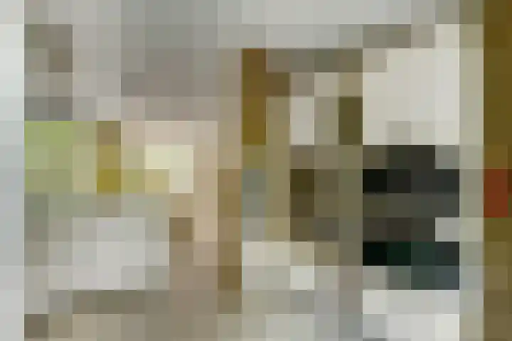 Regenwulp 58 Breda thumbnail 19