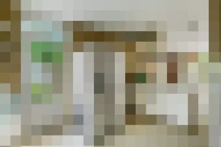 Regenwulp 58 Breda thumbnail 20