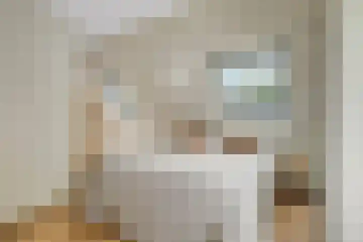 Regenwulp 58 Breda thumbnail 28