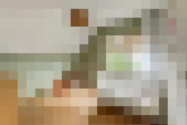 Regenwulp 58 Breda thumbnail 30