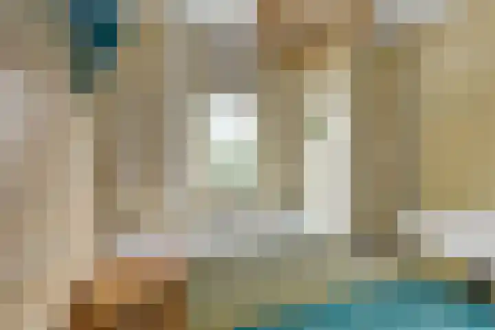 Regenwulp 58 Breda thumbnail 31