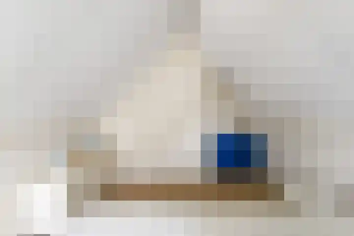 Regenwulp 58 Breda thumbnail 35