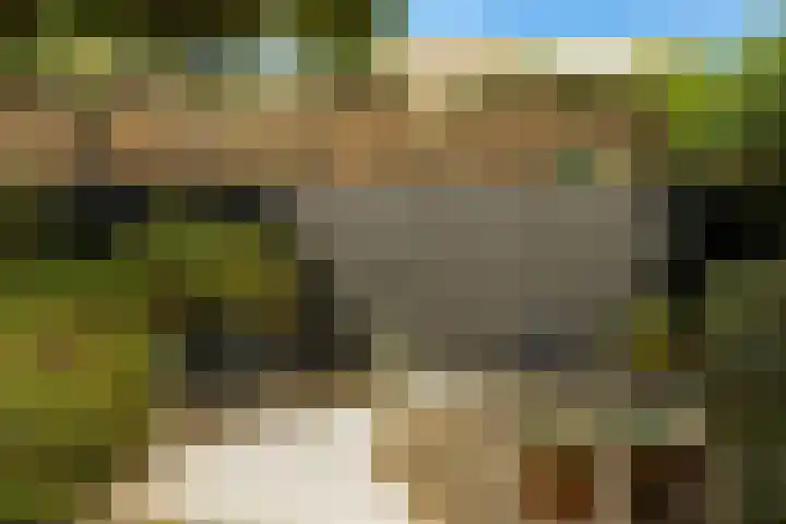 Regenwulp 58 Breda thumbnail 38