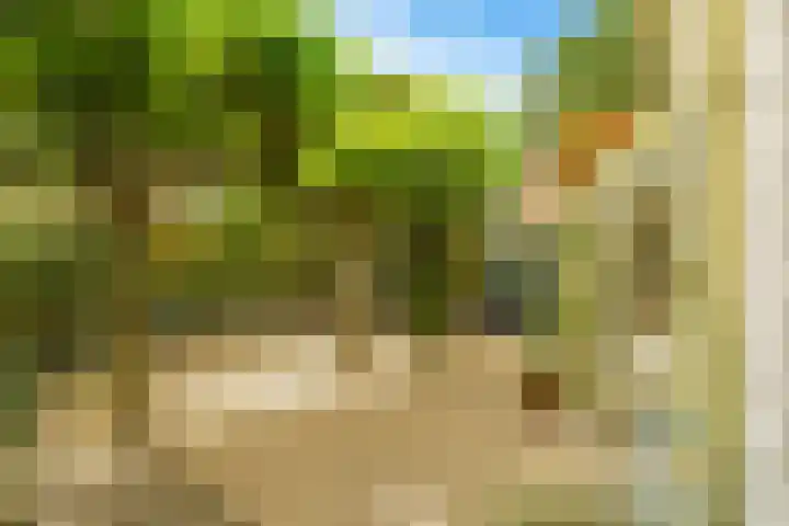 Regenwulp 58 Breda thumbnail 43