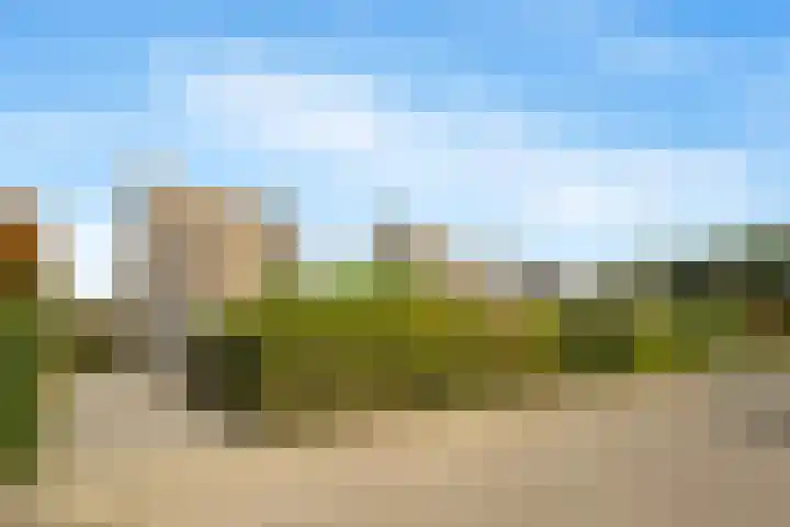 Regenwulp 58 Breda thumbnail 49