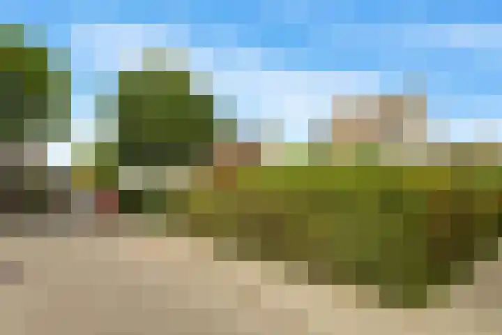 Regenwulp 58 Breda thumbnail 50