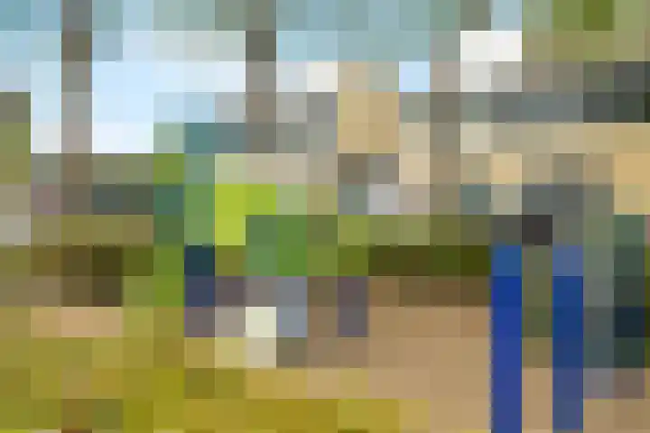 Regenwulp 58 Breda thumbnail 51